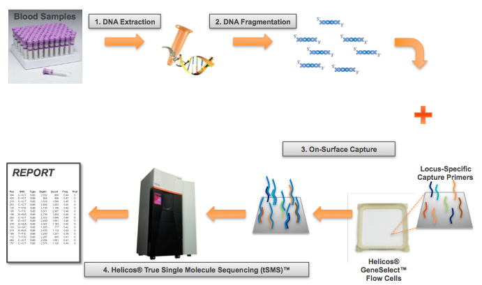 Helicos Direct Capture Sequencing Workflow