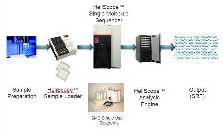 Helicos Genetic Analysis System