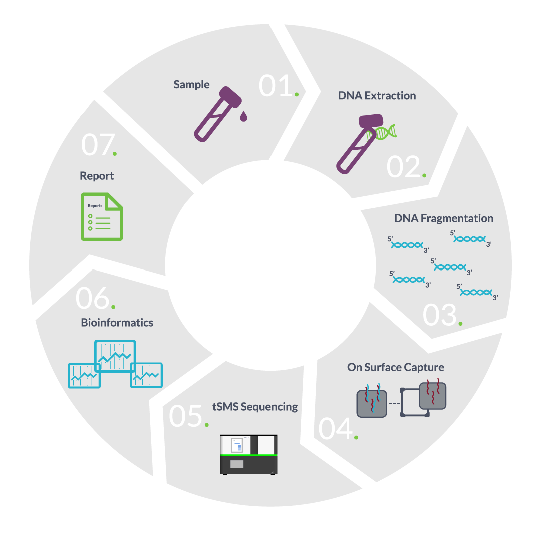 seqll-dna-rna-work-flow